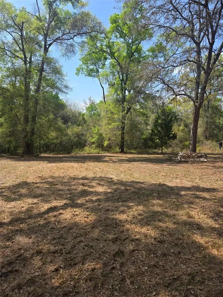 268 SW Luke Place Fort White FL 32038