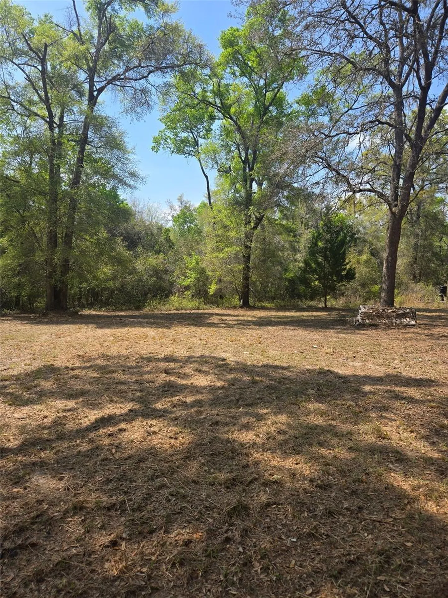 268 SW Luke Place Fort White FL 32038