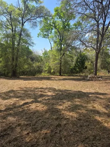 268 SW Luke Place Fort White FL 32038