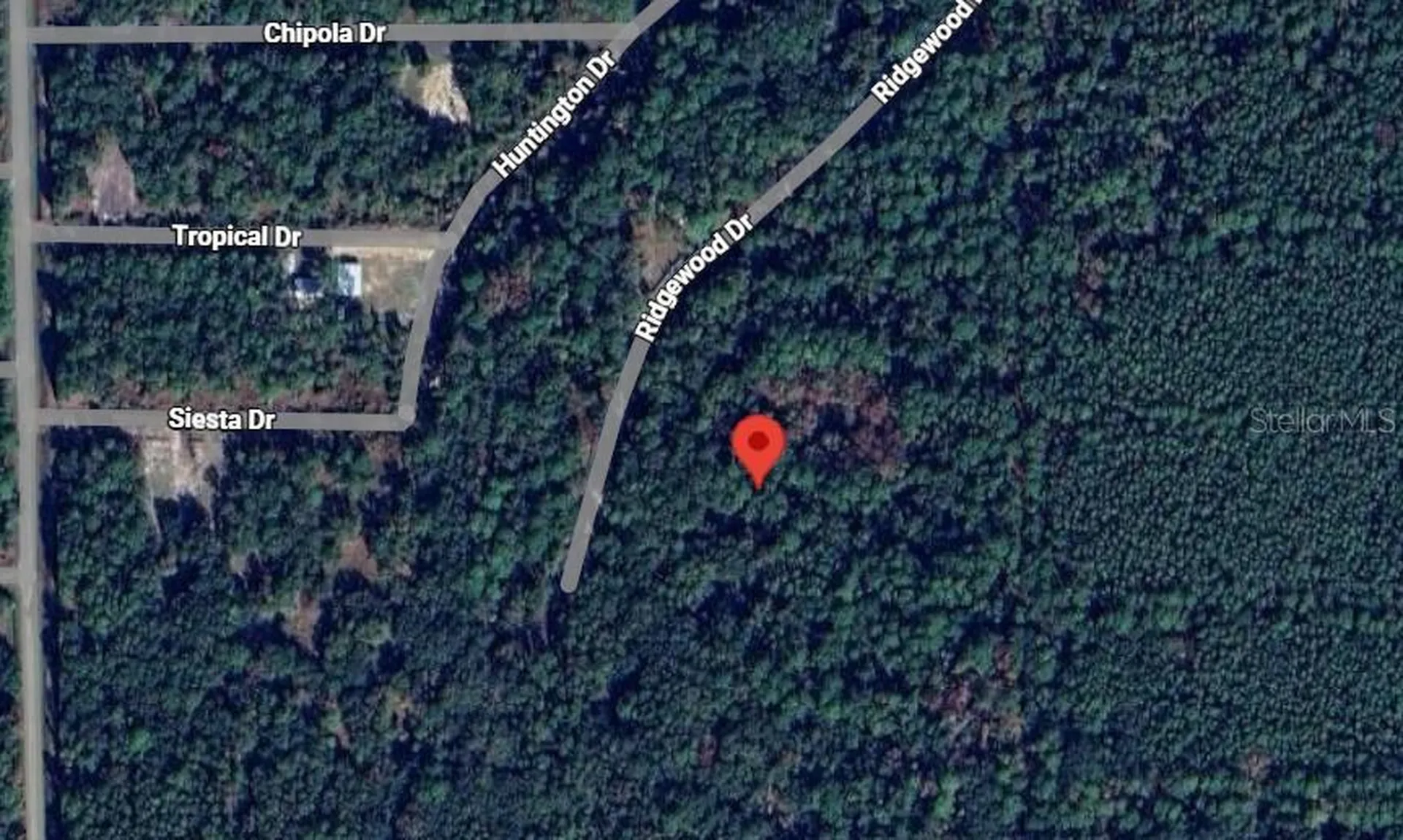 205 Siesta Drive Georgetown FL 32139