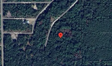205 Siesta Drive Georgetown FL 32139