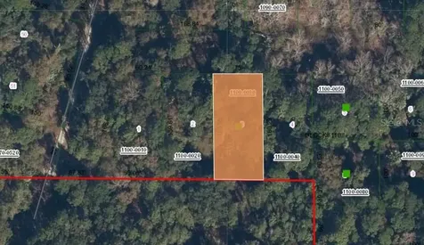 205 Siesta Drive Georgetown FL 32139