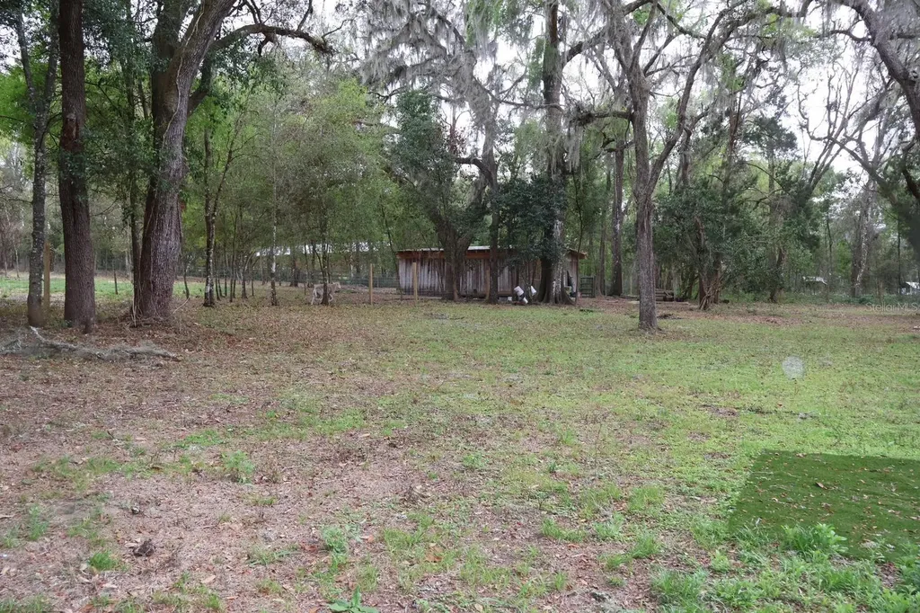 18240 Mount Olive Drive Dade City FL 33523