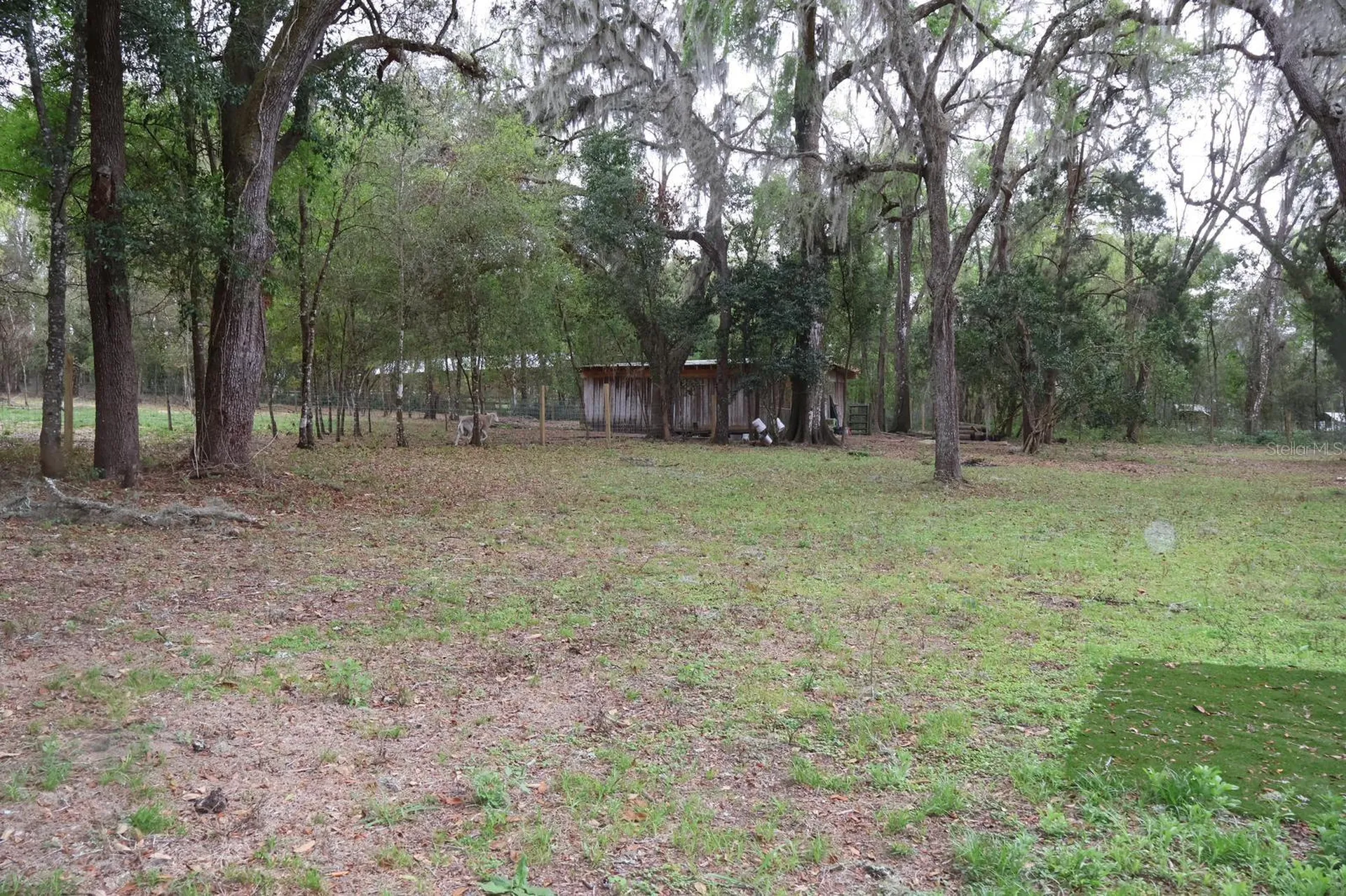 18240 Mount Olive Drive Dade City FL 33523