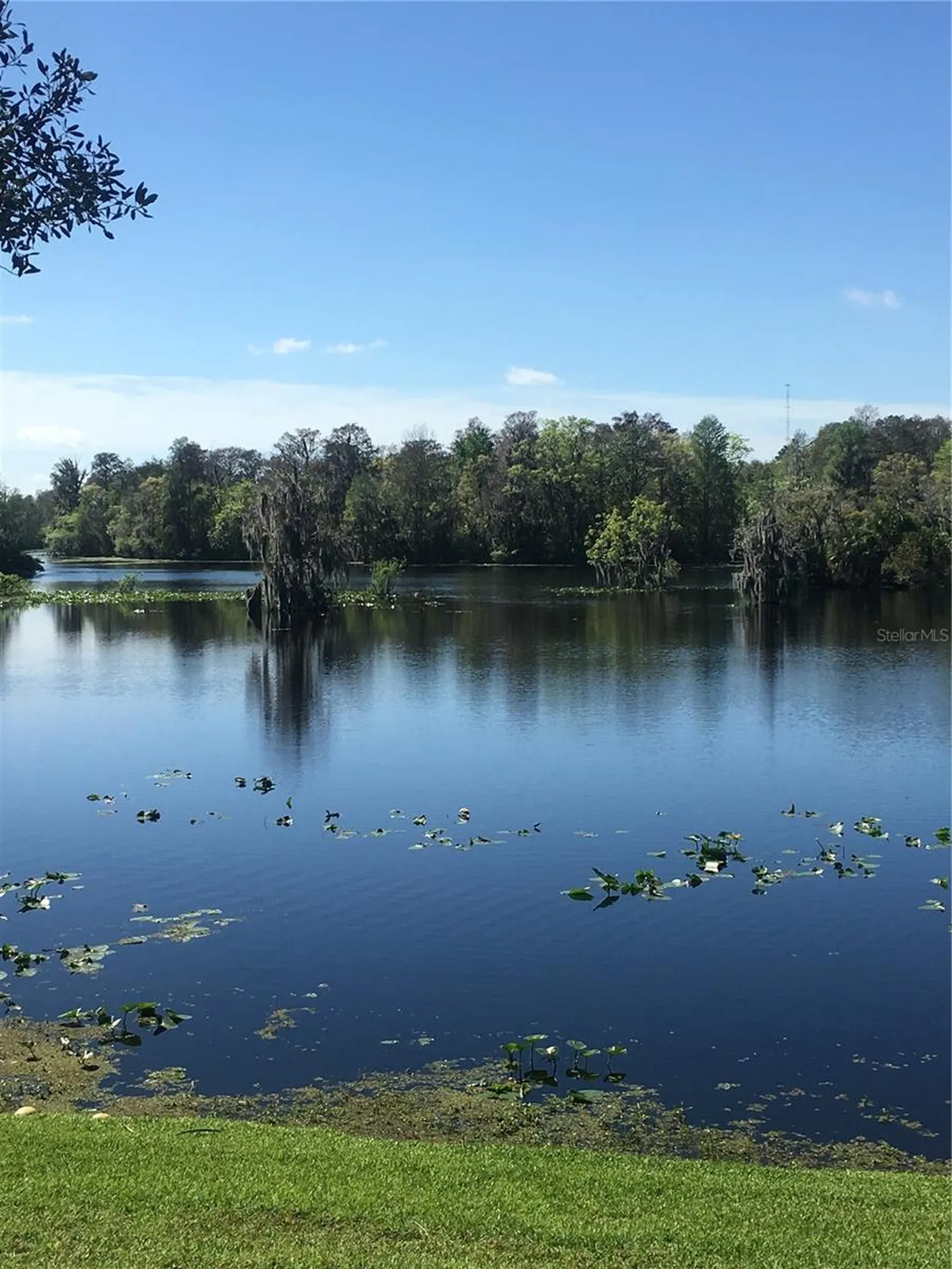 7433 Terrace River Drive Tampa FL 33637