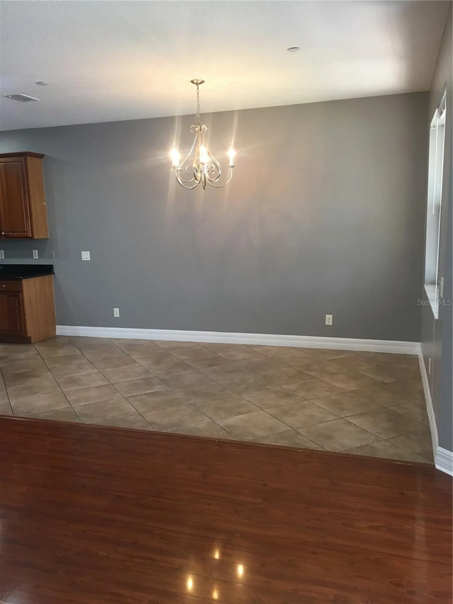 7433 Terrace River Drive Tampa FL 33637