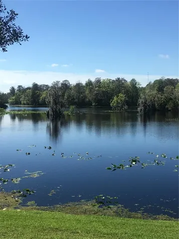 7433 Terrace River Drive Tampa FL 33637