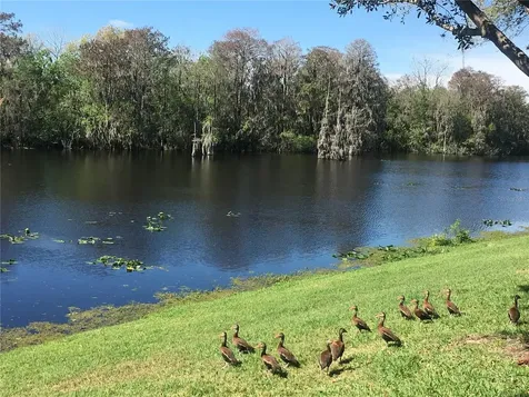 7433 Terrace River Drive Tampa FL 33637