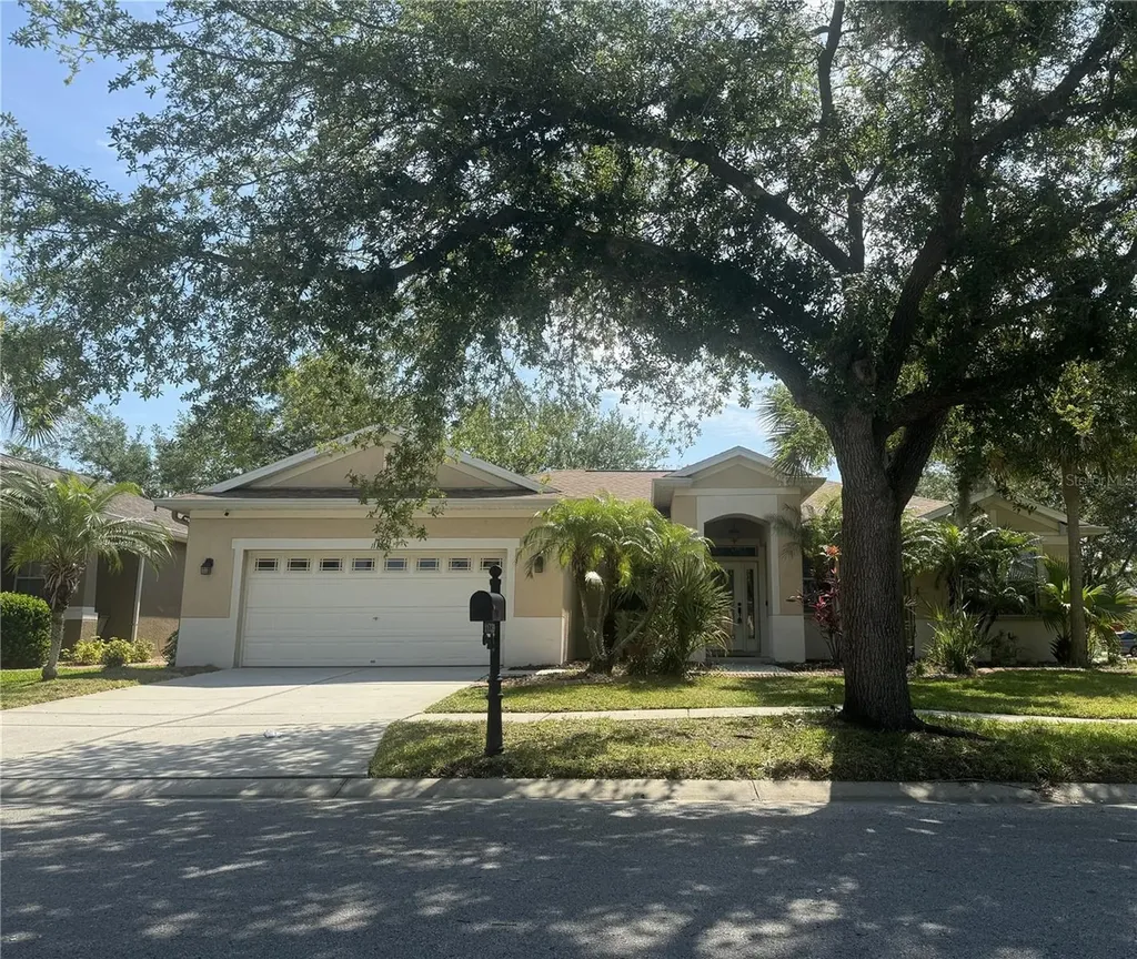 11739 Holly Creek Drive Riverview FL 33569