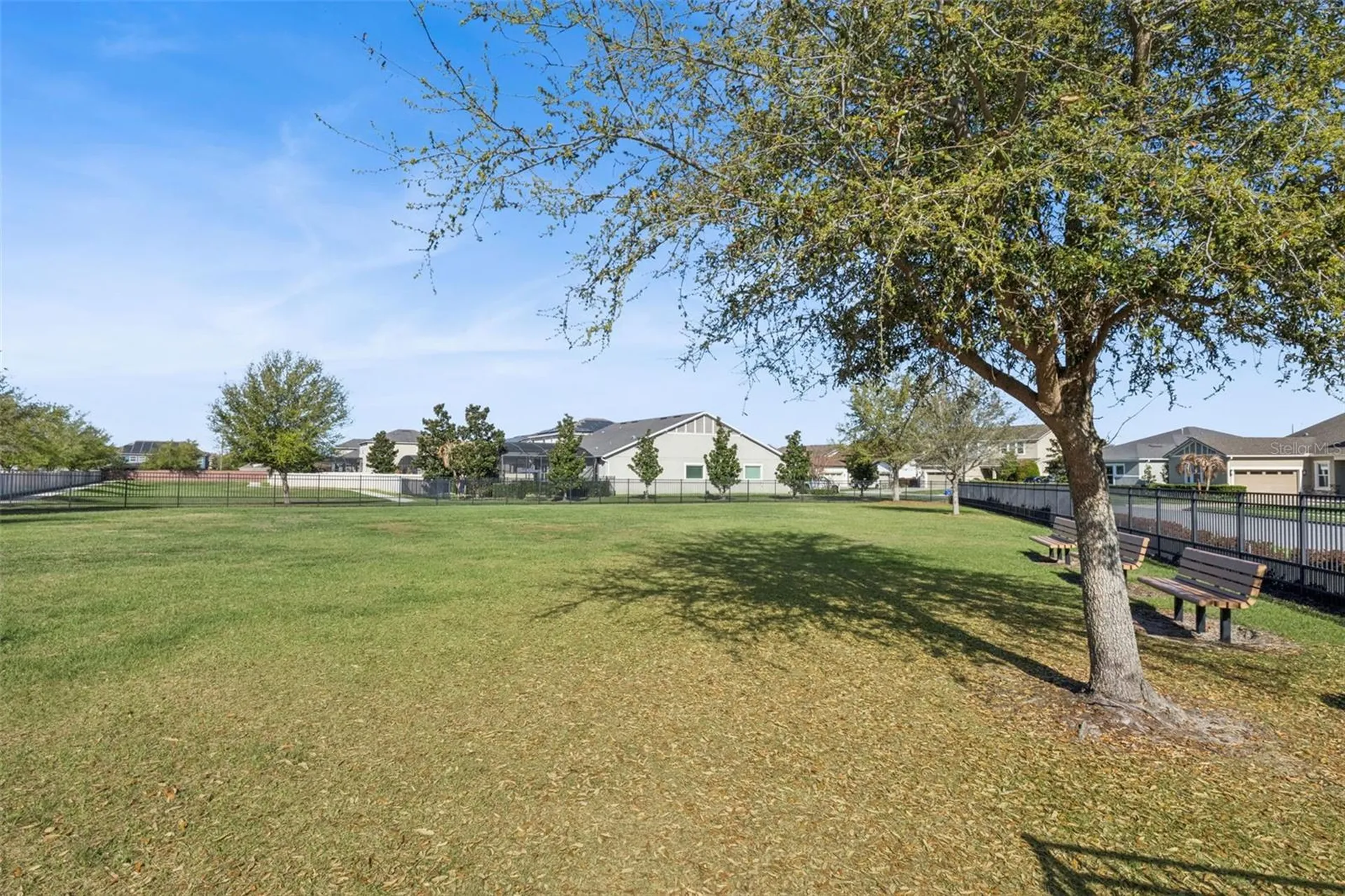 14766 Ellingsworth Lane Winter Garden FL 34787