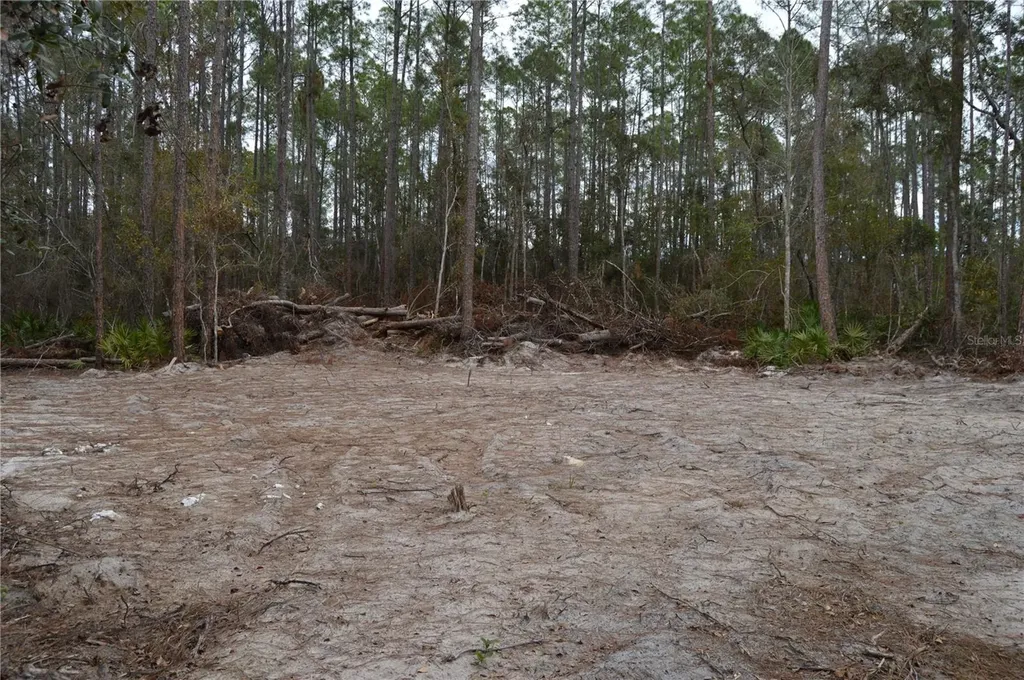 1459 NE 743 Street Cross City FL 32628