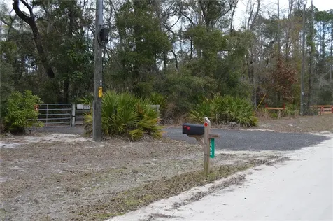 1459 NE 743 Street Cross City FL 32628
