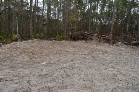 1459 NE 743 Street Cross City FL 32628