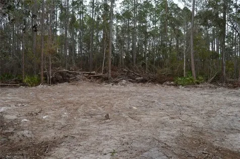 1459 NE 743 Street Cross City FL 32628