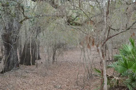 1459 NE 743 Street Cross City FL 32628