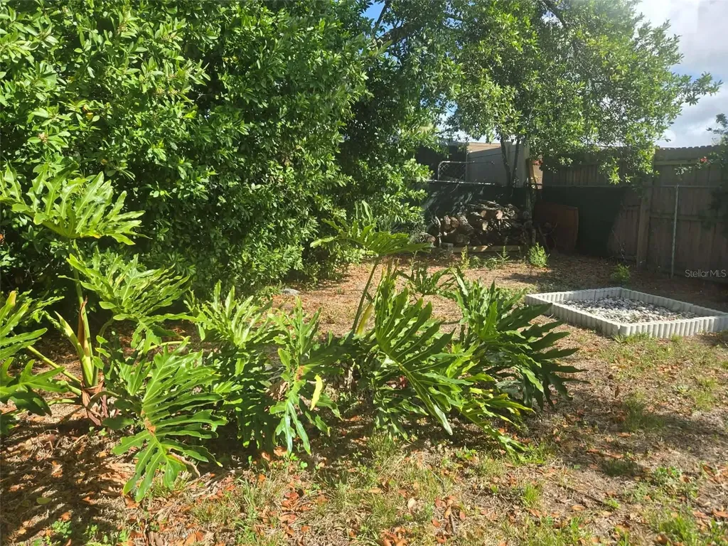 5605 Dolores Holiday FL 34690