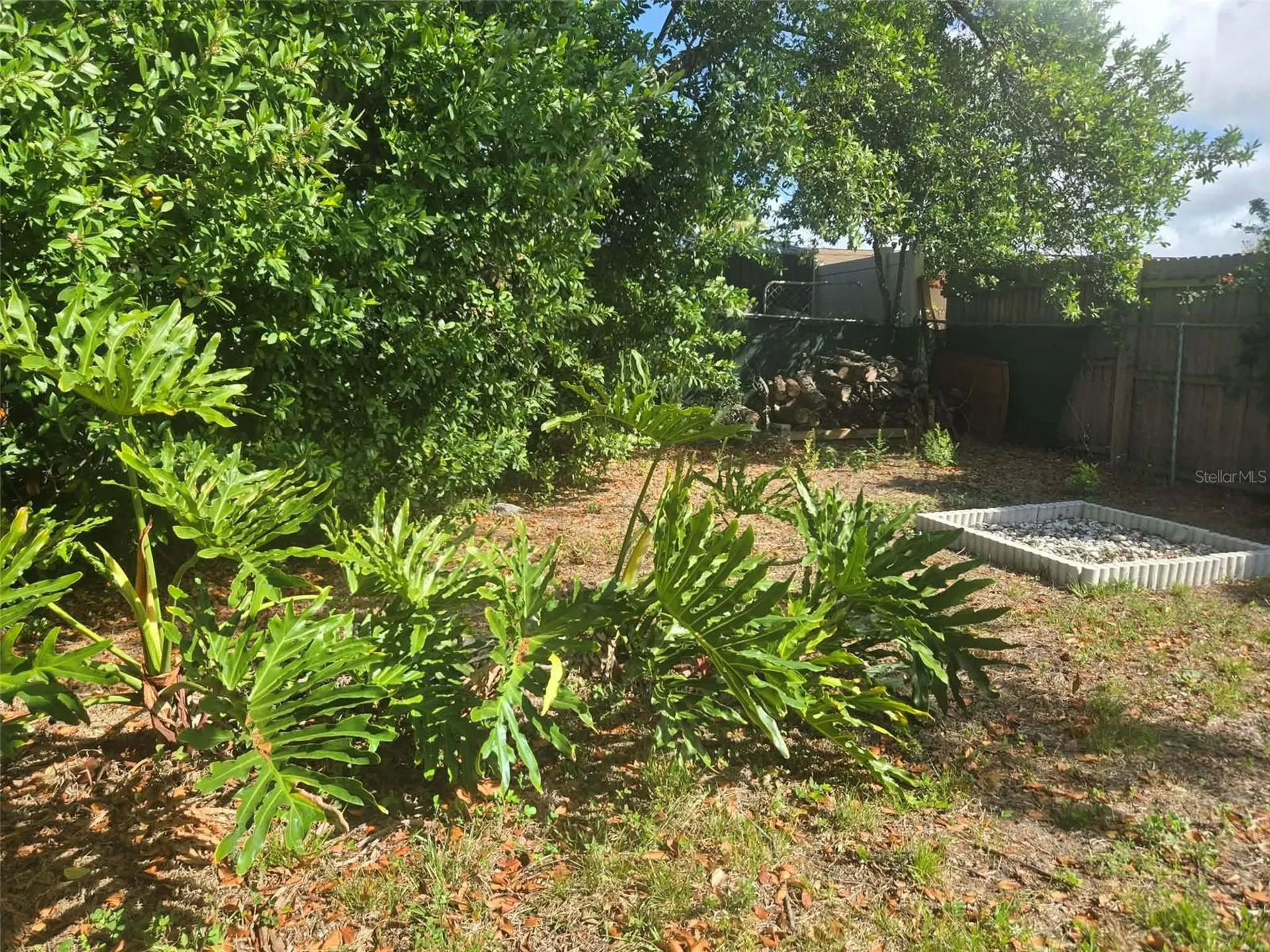 5605 Dolores Holiday FL 34690