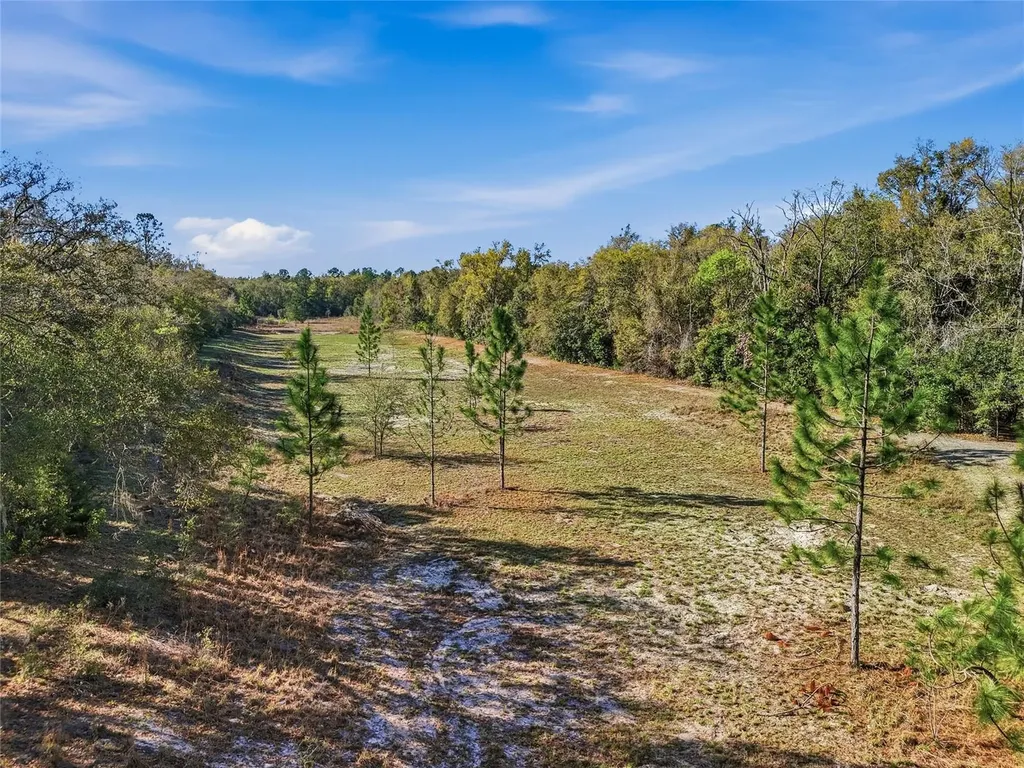 8920 NE 8th Place High Springs FL 32643
