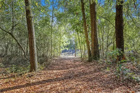 8920 NE 8th Place High Springs FL 32643