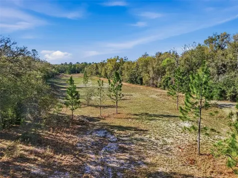 8920 NE 8th Place High Springs FL 32643