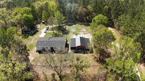 10750 NW 190th Street Micanopy FL 32667