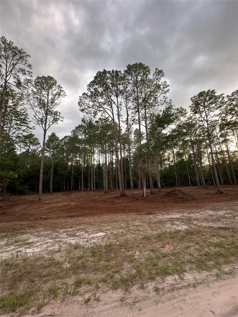 127 Longtree Street Georgetown FL 32139