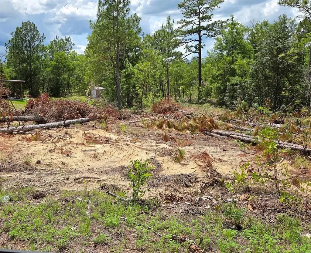 Tbd NE 14th Place Williston FL 32696