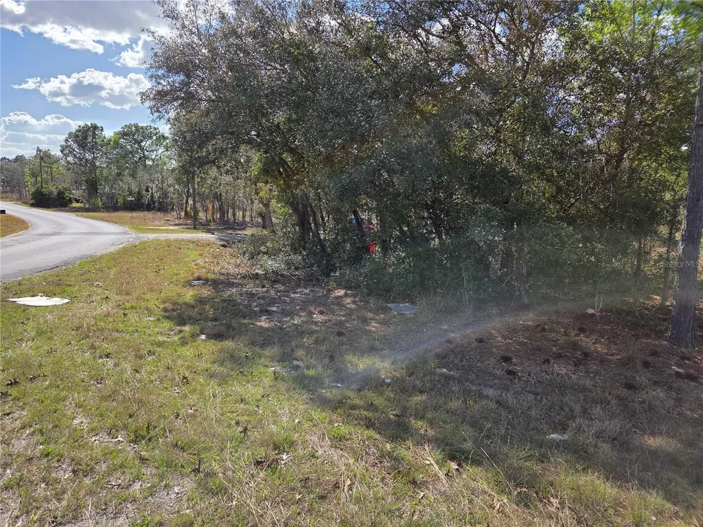 Tbd NE 14th Place Williston FL 32696