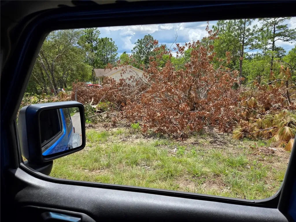 Tbd NE 14th Place Williston FL 32696