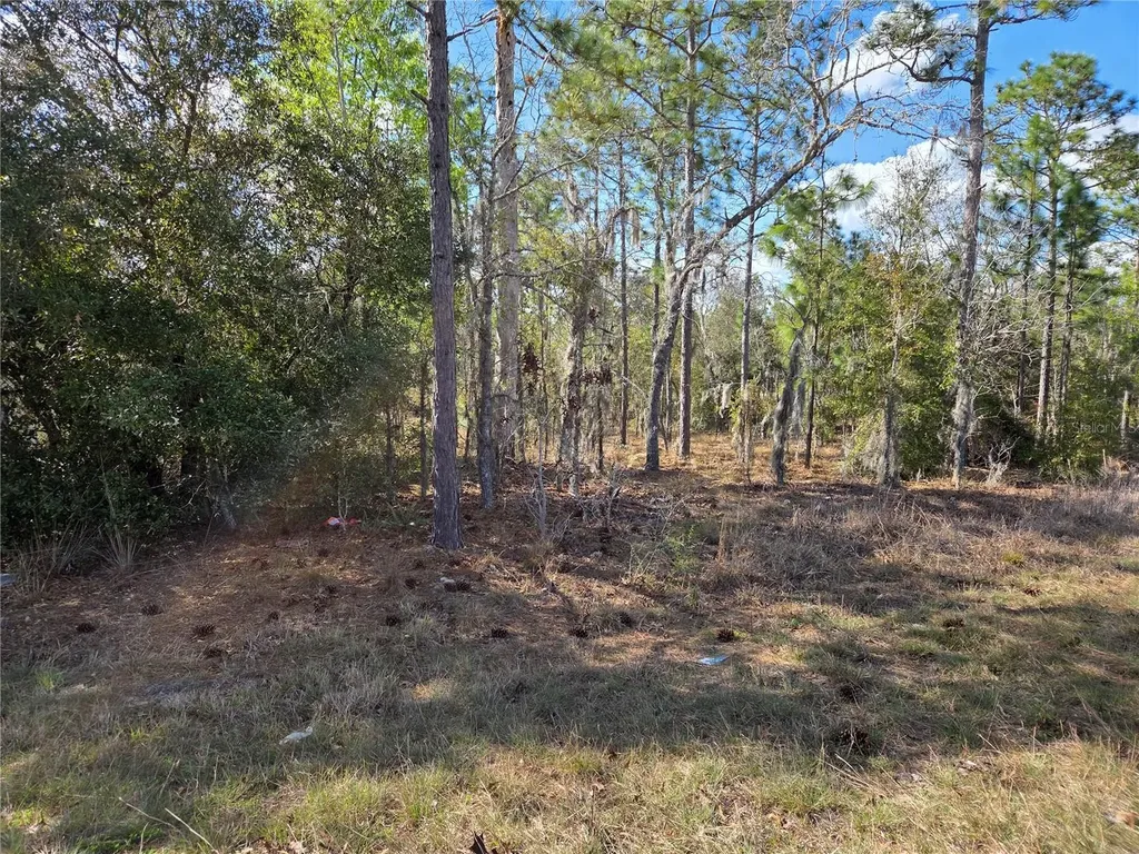 Tbd NE 14th Place Williston FL 32696