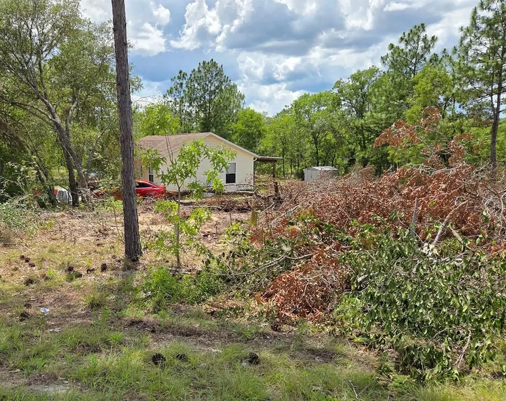 Tbd NE 14th Place Williston FL 32696