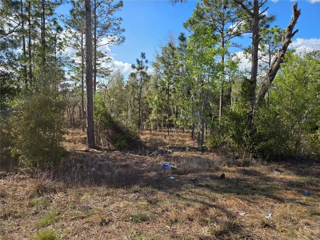 Tbd NE 14th Place Williston FL 32696