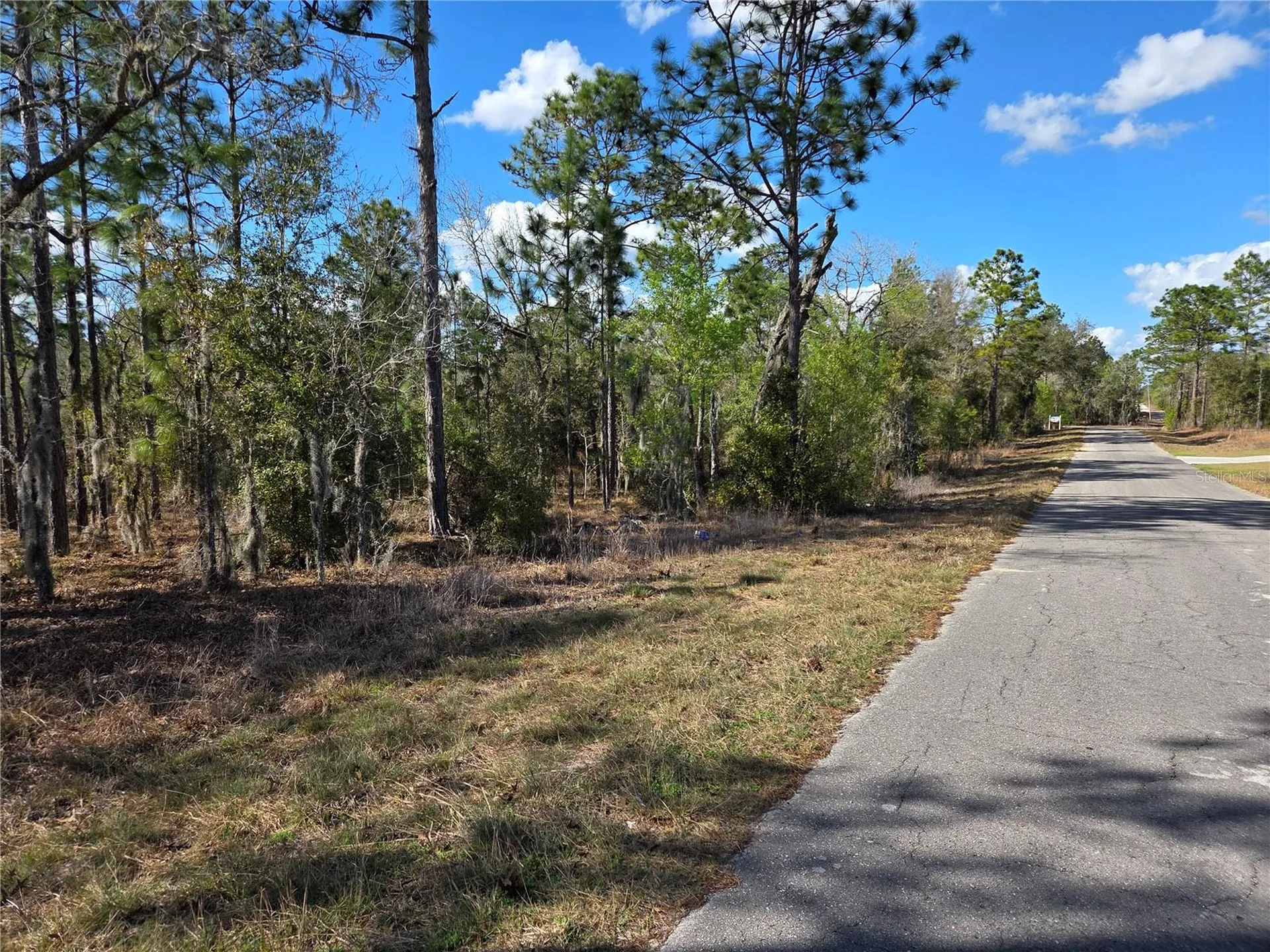 Tbd NE 14th Place Williston FL 32696