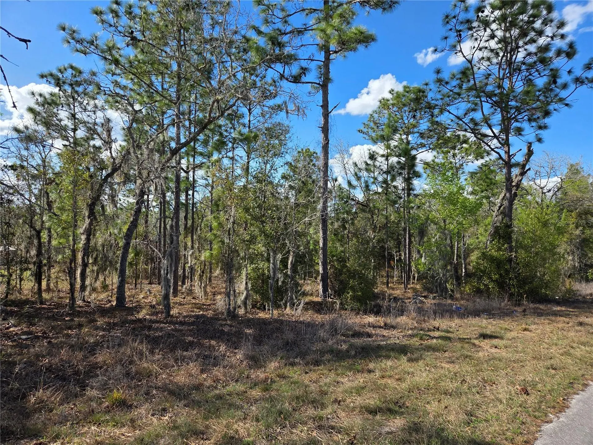 Tbd NE 14th Place Williston FL 32696