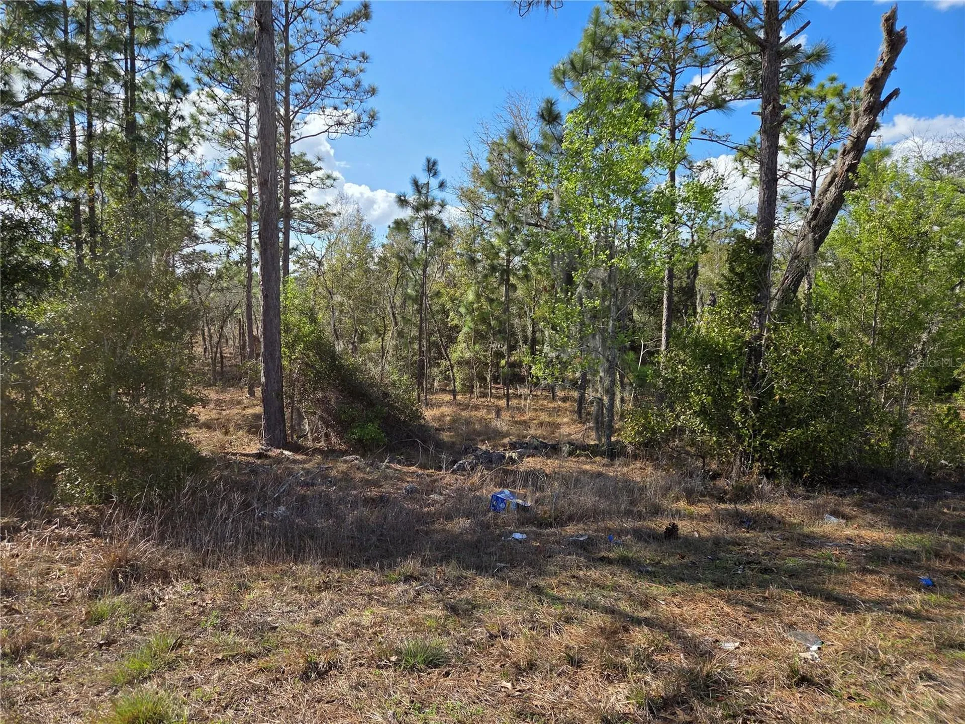 Tbd NE 14th Place Williston FL 32696