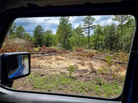 Tbd NE 14th Place Williston FL 32696