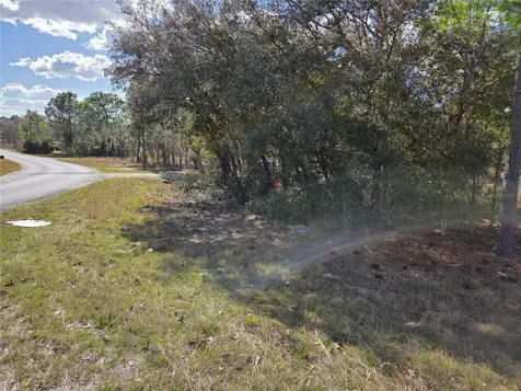 Tbd NE 14th Place Williston FL 32696