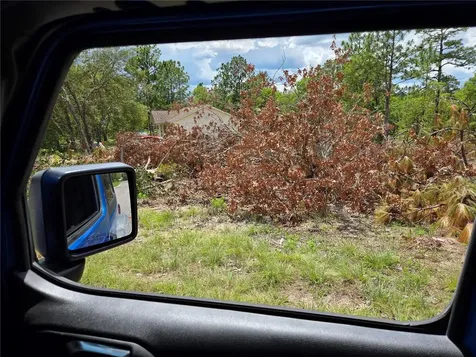 Tbd NE 14th Place Williston FL 32696