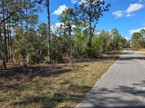 Tbd NE 14th Place Williston FL 32696