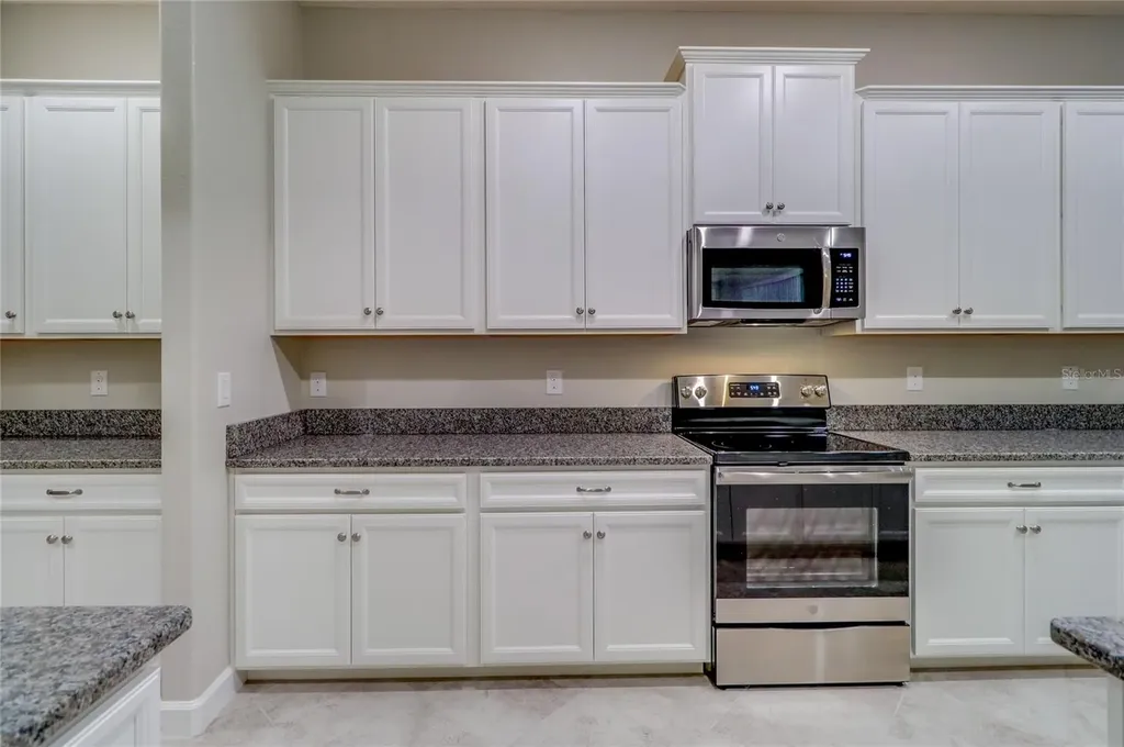 3124 Hilliard Drive Wesley Chapel FL 33543