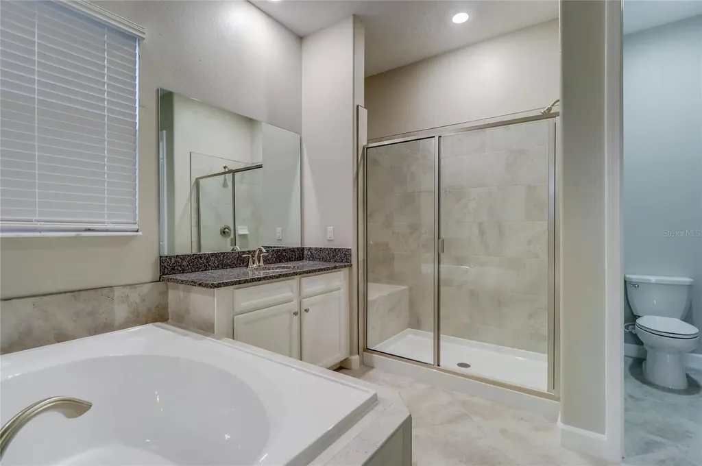 3124 Hilliard Drive Wesley Chapel FL 33543
