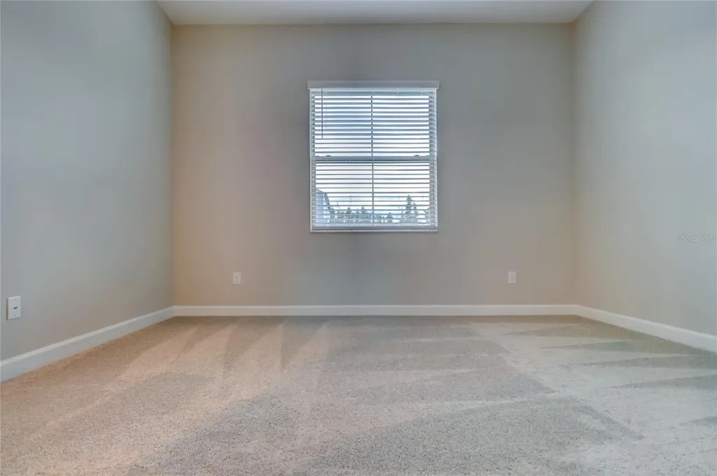 3124 Hilliard Drive Wesley Chapel FL 33543