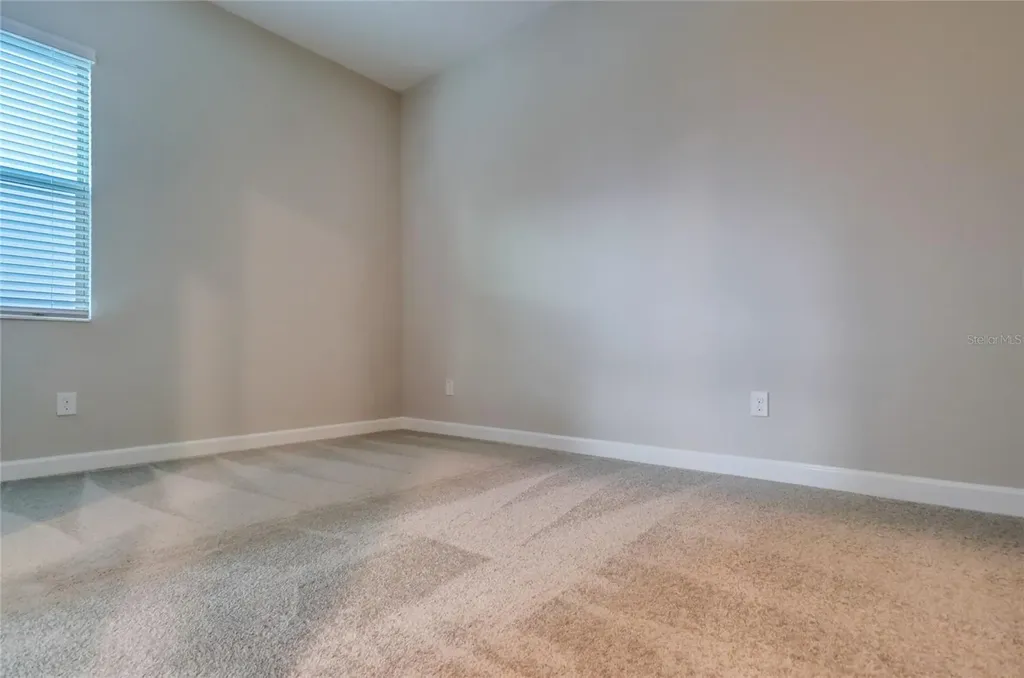 3124 Hilliard Drive Wesley Chapel FL 33543