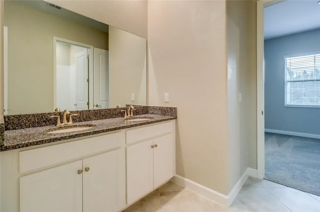 3124 Hilliard Drive Wesley Chapel FL 33543