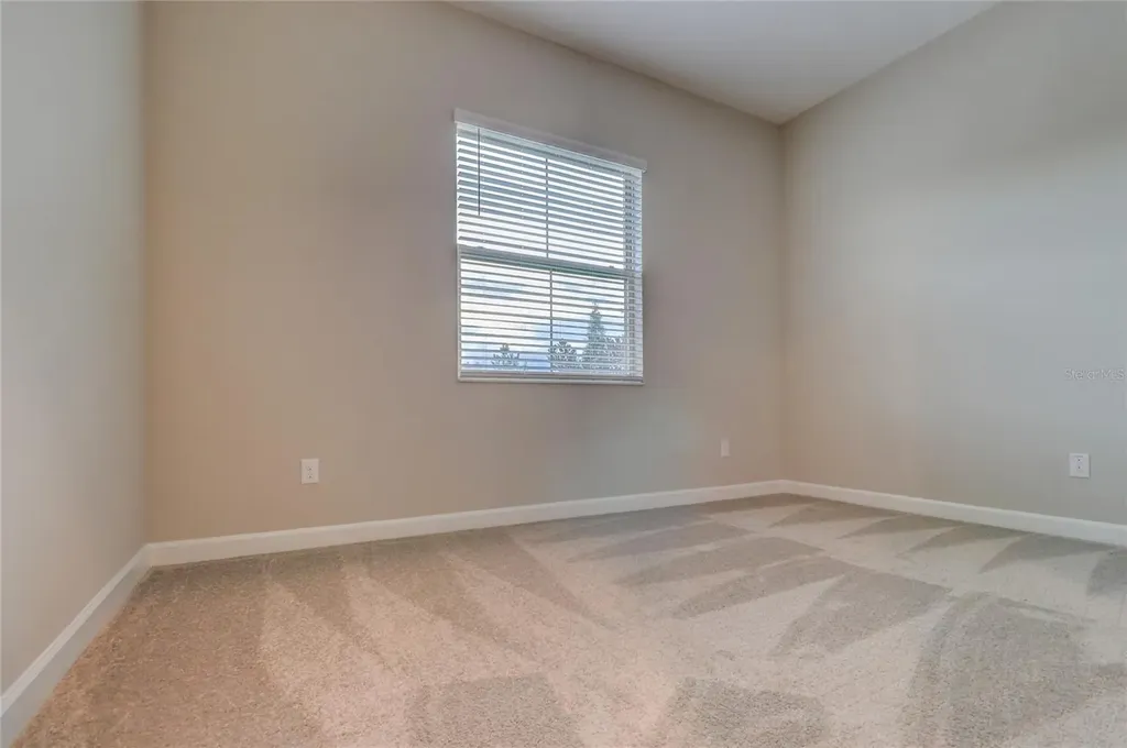 3124 Hilliard Drive Wesley Chapel FL 33543