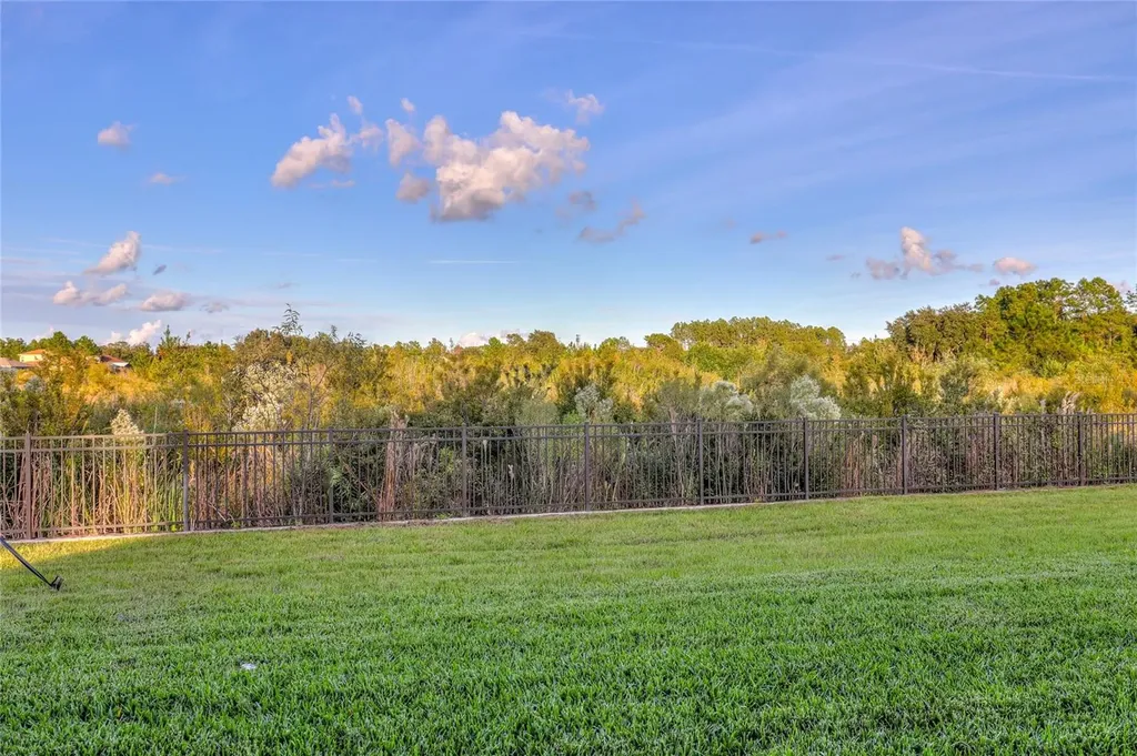 3124 Hilliard Drive Wesley Chapel FL 33543