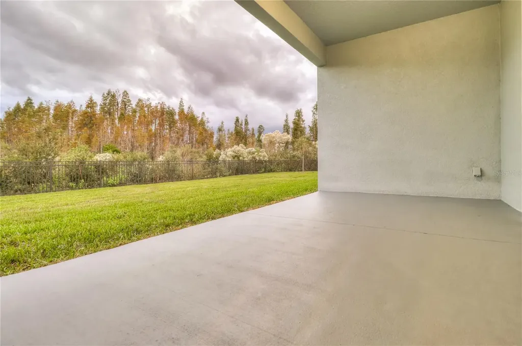 3124 Hilliard Drive Wesley Chapel FL 33543