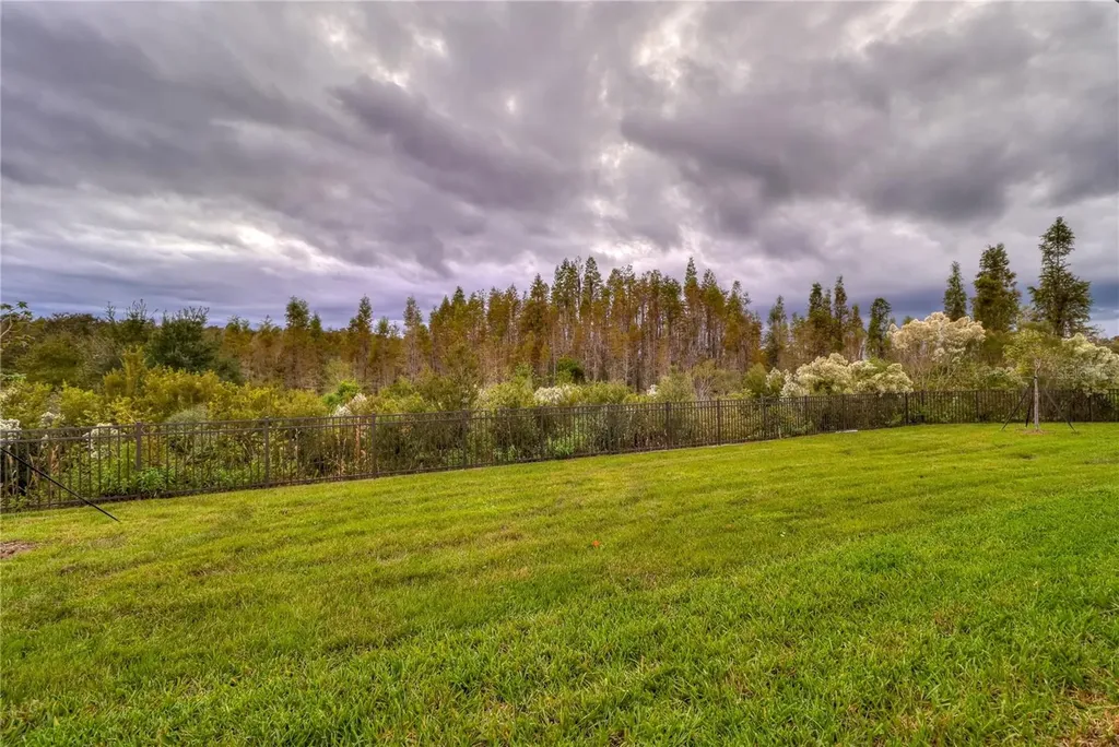3124 Hilliard Drive Wesley Chapel FL 33543