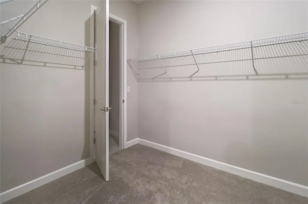 3124 Hilliard Drive Wesley Chapel FL 33543