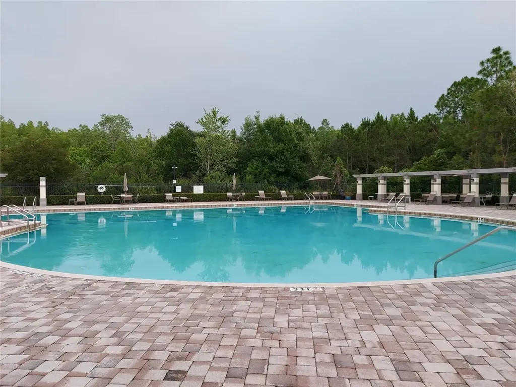 3124 Hilliard Drive Wesley Chapel FL 33543